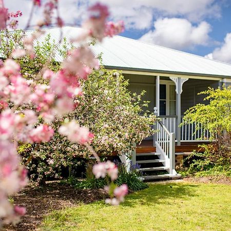 Apple Blossom Cottages Станторп Экстерьер фото