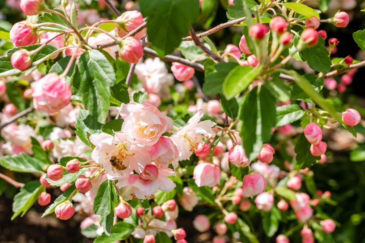 Apple Blossom Cottages Станторп Экстерьер фото